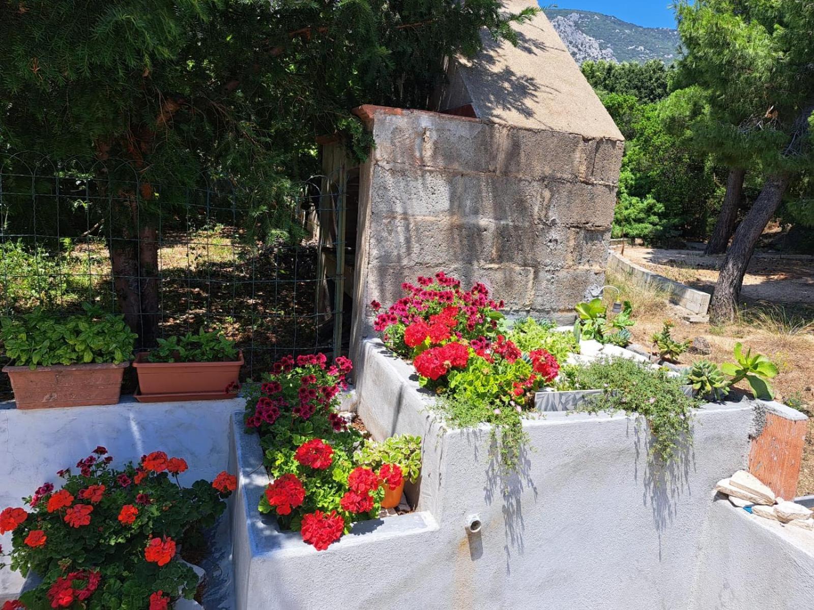 Domus De Mare Apartman Cala Gonone Kültér fotó